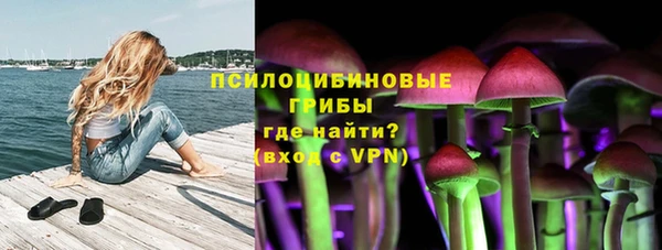 МДПВ Краснотурьинск