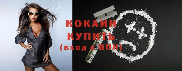 гидра Краснослободск