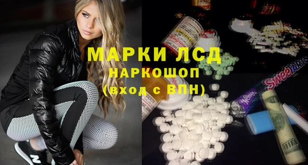 гидра Краснослободск