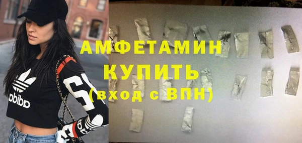 гидра Краснослободск