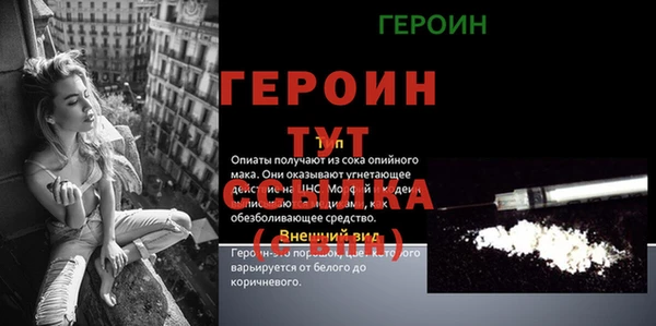 гидра Краснослободск