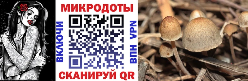 Галлюциногенные грибы мицелий  Приморско-Ахтарск 