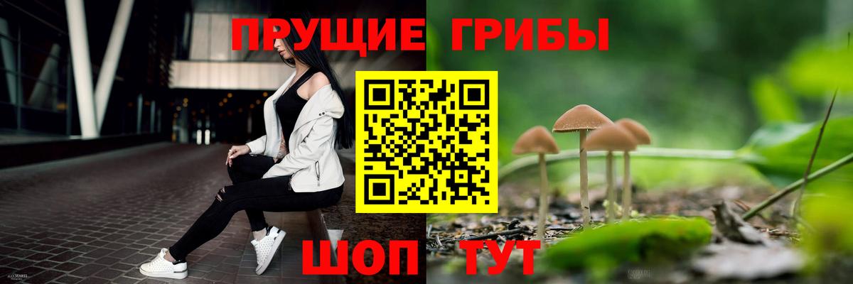 Псилоцибиновые грибы MAGIC MUSHROOMS  Вход с VPN  Приморско-Ахтарск 
